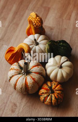 Legen Sie kleine dekorative Mini-Kürbisse und Kürbisse flach Stockfoto