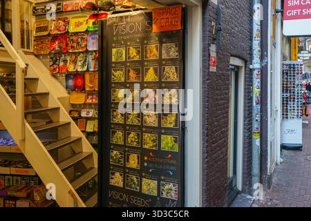 In einem Cannabissamen- und Souvenirladen im Amsterdamer Rotlichtviertel werden die Sorten von Vision Seeds präsentiert. Stockfoto