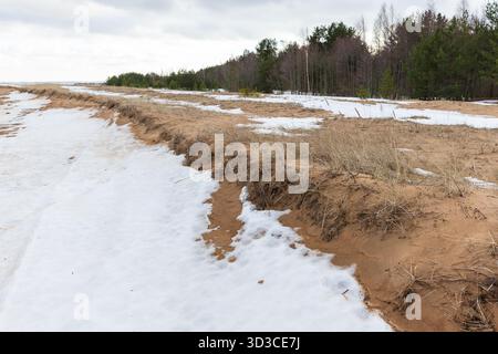 Eine ruhige Winterlandschaft mit schneebedeckter Küste und erodierten Sanddünen, die in einen Kiefernwald münden. Kalte, ruhige Stimmung mit gedämpften Farben; ideal für Stockfoto