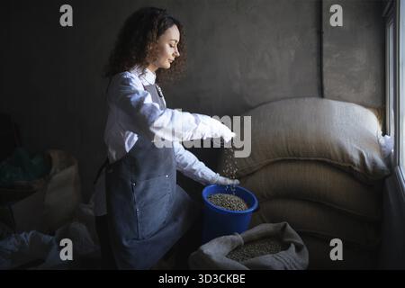 Junge Frau Arbeiter Röster füllt grünen Kaffeebohnen Glas mit Schaufel. Grüne Kaffeebohnen im Sackleinen bei der Kaffeerösterei. Kaffeehandel Stockfoto