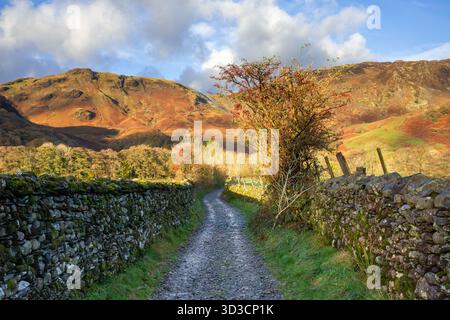 Ein gewundener Pfad, gesäumt von traditionellen Trockenmauern, führt durch die leuchtenden Herbstfarben von Borrowdale im wunderschönen Lake District. Stockfoto