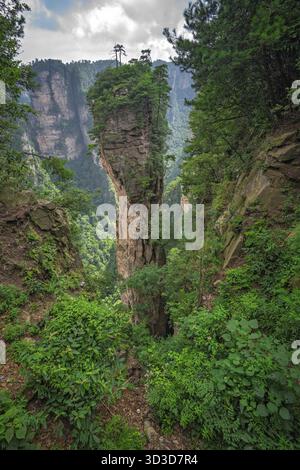 Himmel Säule Halleluja Berg in Tianzi mountain range, Avatar Berge Natur Park, Niagara-on-the-Lake, China Stockfoto