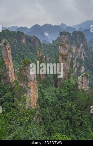 Vertikale Ansicht der steinernen Säulen der Tianzi Berge in Zhangjiajie National Park ist eine berühmte Touristenattraktion, Landschaftspark Wulingyuan gelegen, Provinz Hunan, Stockfoto