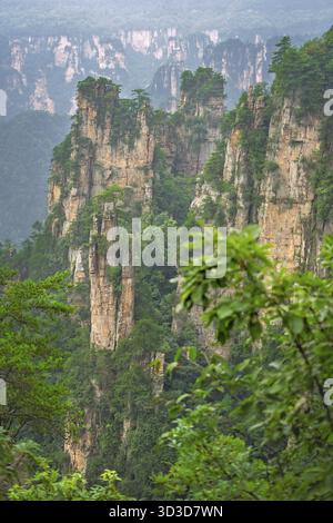 Vertikale Ansicht der steinernen Säulen der Tianzi Berge in Zhangjiajie National Park ist eine berühmte Touristenattraktion, Landschaftspark Wulingyuan gelegen, Provinz Hunan, Stockfoto