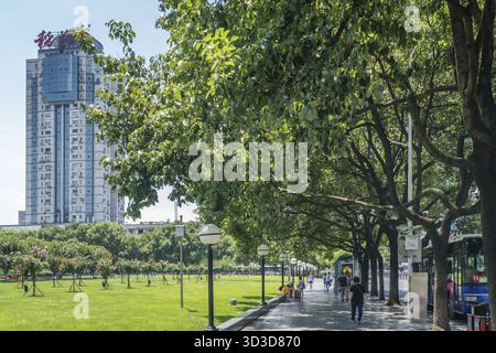 Yichang, China - August 2019: Menschen, die an einem heißen Sommertag im Yichang-Schlepp auf einem Fußgängersteig unter dem Schatten von Bäumen in einem öffentlichen Park spazieren Stockfoto