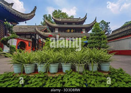 Chengdu, China - Juli 2019 : Pflanzen und Blumen im Innenhof des buddhistischen Wenshu-Klosters, Provinz Sichuan Stockfoto