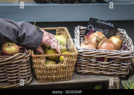 Älterer Mann herauf frische Früchte von einem Weidenkorb auf einem Bauernmarkt in Cornwall, Großbritannien Stockfoto