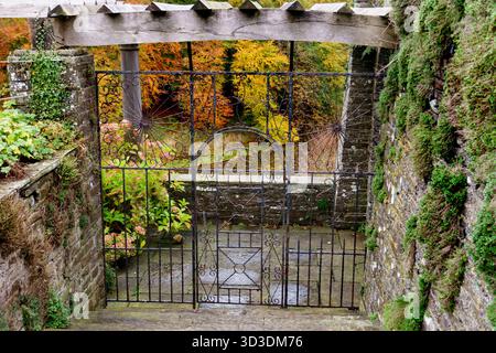 County Laois, Irland - 27. Oktober 2025, Wall Garden in Heywood Garden, Co Laois, Irland Stockfoto