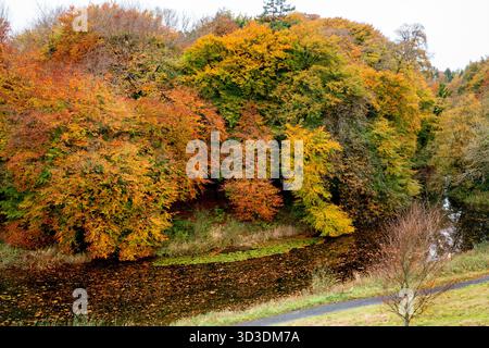 Blick auf den See und den Autumn Forest Park in Heywood Gardens, Co Laois, Irland Stockfoto