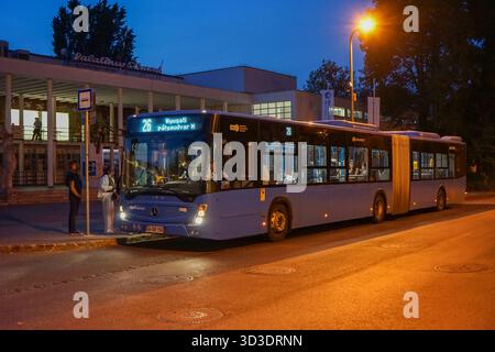 Die Route 26 Mercedes Conecto wartet an der Haltestelle Palatinus auf der Margareteninsel, bereit für die Nyugati-Bahn. Stockfoto