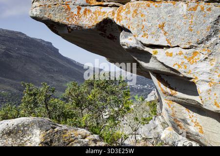 Zerklüftete Berglandschaft mit Fynbos-Flora in Kapstadt, Südafrika Stockfoto