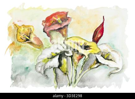 Calla Sommer Blumen Blumenstrauß - handgemachte Aquarellmalerei Abbildung auf einem weißen Papier Kunst Hintergrund Stockfoto