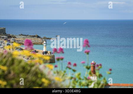 St. Ives, England - Juni 2018 : unscharfe rosa und gelbe Blumen vor dem Hafeneingang in Saint Ives, Cornwall, Großbritannien Stockfoto