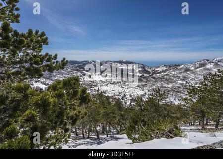 Herrlichem Bergblick Winterlandschaft Panorama wie aus dem Berg Lovcen in Nationalpark Lovcen, Montenegro gesehen Stockfoto