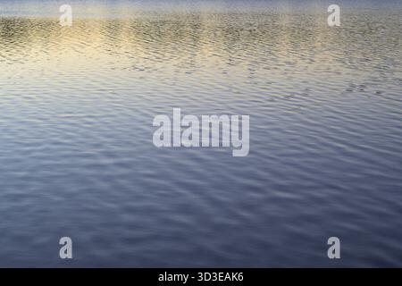 Abstrakte Nahaufnahme eines Sees oder Teichs mit subtilen, sich wiederholenden Wellen. Das Wasser reflektiert die sanften Farben der Abenddämmerung und übergeht von blassem Gold A Stockfoto