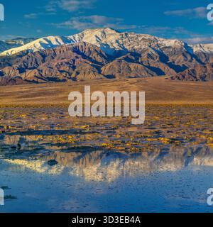 Sunrise Reflections, Wildrose Peak, Death Valley National Park, Kalifornien Stockfoto