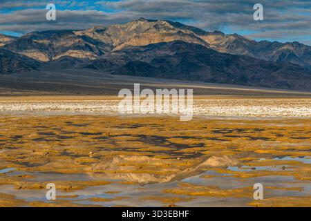 Salt Flats, Wildrose Peak, Death Valley National Park, Kalifornien Stockfoto