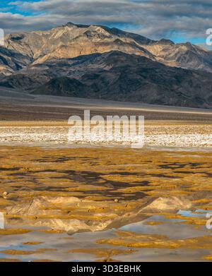 Salt Creek, Wildrose Peak, Death Valley National Park, Kalifornien Stockfoto