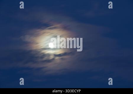 Ätherischer Vollmond scheint durch dünne, sich schnell bewegende Wolken und erzeugt einen atemberaubenden, schillernden Corona-Effekt vor dem dunkelblauen Nachthimmel Stockfoto