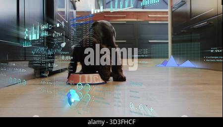 Ein dunkelbrauner Hündchen lehnt sich in eine orange-weiße Schüssel auf dem Küchenboden, mit digitalen Überzügen Stockfoto