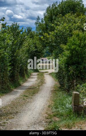 Rustikale unbefestigte Straße, die zu einem Farm Gate führt, gesäumt von üppiger grüner Vegetation und überhängenden Baumkronen an einem bewölkten Tag, Sommer-Naturlandschaft Stockfoto