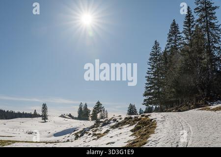 Ein heller Wintertag im Jura, Schweiz, bietet eine ruhige, schneebedeckte Landschaft unter einem klaren blauen Himmel. Sonnenlicht wirft lange Schatten auf die pristin Stockfoto