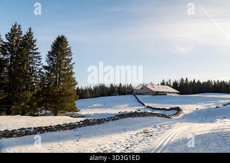 Ein malerischer sonniger Wintertag im Jura, Schweiz, mit einer ruhigen Landschaft mit schneebedeckten Feldern, einem entfernten Gebäude und hohem immergrünem Grün Stockfoto