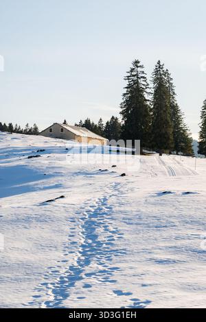 Eine malerische Winterszene im Jura, Schweiz, mit einer sonnendurchfluteten, schneebedeckten Landschaft mit einem hübschen Haus und hoch aufragenden Kiefern unter einem klaren Himmel Stockfoto