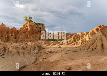 Erkunden Sie die atemberaubende Landschaft der roten Tatacoa-Wüste in Kolumbien mit einzigartigen erodierten Formationen und isoliertem Grün unter einer dramatischen, bewölkten Ske Stockfoto
