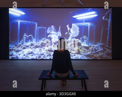 Saatchi Gallery, London, Großbritannien. November 2025. Die Long Now feiert vier Jahrzehnte bahnbrechender zeitgenössischer Kunst und Kreativität und präsentiert ikonische und neue Werke von Künstlern, die eng mit der dynamischen Geschichte der Saatchi Gallery verbunden sind. Sie erstreckt sich über zwei Etagen und neun große Ausstellungsräume. Stockfoto