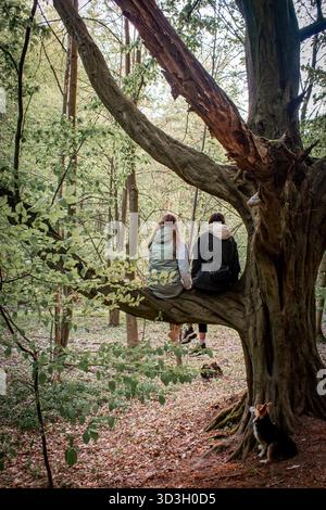 Zwei Mädchen sitzen auf einem Baum im Wald. Neben dem Baum sitzt ein kleiner Hund. Ein Herbstspaziergang im Wald. Stockfoto