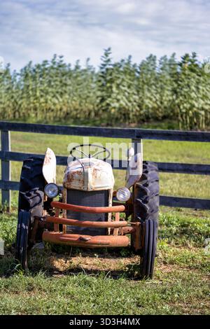 Oldtimer Ford Farm Tractor Burnside Farms Nokesville Virginia // NOKESVILLE, Virginia — Ein verwitterter Oldtimer Ford Farmtraktor mit rostigem Metall und verblasster weißer Farbe parkt auf einem grasbewachsenen Feld. Dahinter grenzt ein hölzerner Zaun an ein Feld mit hohen grünen Pflanzen, charakteristisch für die Sonnenblumenernte auf Burnside Farms. Diese klassische landwirtschaftliche Ausrüstung befindet sich auf Burnside Farms in Nokesville, Virginia. Das beliebte landwirtschaftliche Reiseziel im Prince William County ist bekannt für seine saisonalen Sonnenblumen- und Tulpenfeste. Sie bietet Besuchern einen Einblick in das ländliche Leben im Norden Virginias. Stockfoto