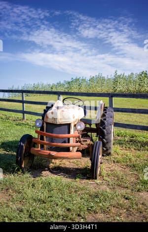 Oldtimer Ford Farm Traktor Burnside Farms Nokesville Virginia // NOKESVILLE, Virginia — Ein Oldtimer Ford Farm Traktor mit verwitterter weiß-orange Farbe parkt auf einem grasbewachsenen Feld auf Burnside Farms. Diese klassischen Ford-Traktoren der N-Serie, wie der 8N, waren in der Mitte des 20. Jahrhunderts von entscheidender Bedeutung für die amerikanische Landwirtschaft. Burnside Farms ist eine beliebte landwirtschaftliche Attraktion in Nokesville, Virginia, die für ihre saisonalen Blumenfeste bekannt ist. Der Bauernhof bietet eine ländliche Erfahrung und einen Einblick in das landwirtschaftliche Erbe. Stockfoto