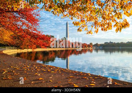 Washington DC // WASHINGTON DC – das Washington Monument spiegelt sich im Tidal Basin wieder, eingerahmt von den leuchtenden Herbstfarben der Kirschbäume kurz nach Sonnenaufgang. Das Tidal Basin ist ein künstliches Reservoir in Washington DC, das weltweit für seine berühmten Kirschblüten bekannt ist. Diese Bäume, ursprünglich ein Geschenk aus Japan, zeigen auch brillantes Herbstlaub. Das Denkmal ist ein Obelisk, der an George Washington erinnert. Stockfoto