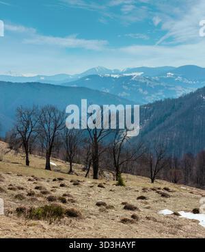 Der frühe Frühling Karpaten plateau Landschaft mit schneebedeckten Grat tops in weit, Ukraine. Stockfoto