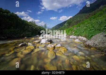 Blick auf einen flachen Bach, der über glatte Felsen fließt, flankiert von üppiger grüner Vegetation unter einem hellblauen Himmel in Tatranska Javorina, Presovsky kraj, SL Stockfoto