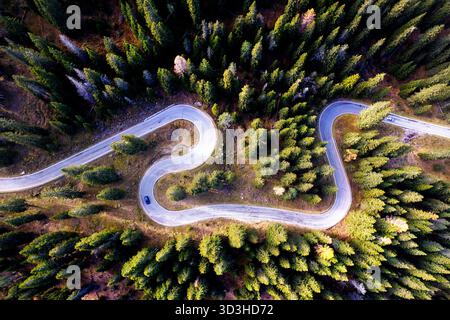 Spektakulärer Luft-Drohnenblick auf die kurvenreiche Bergstraße zum Passo Giau in den Dolomiten, umgeben von lebendigen goldenen Herbst-Lärchen. Stockfoto