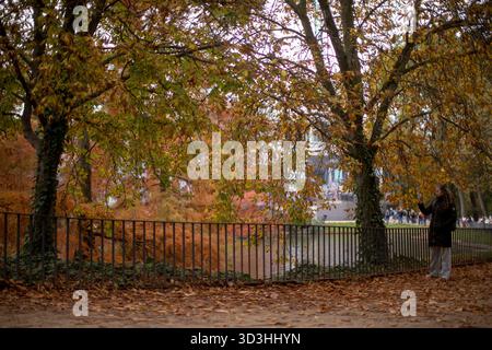Madrid, Madrid, Spanien. November 2025. Eine Frau fotografiert die Bäume im Retiro Park, Madrid. Die Blätter fallen langsam und läuten den Herbst ein. (Kreditbild: © Luis Soto/ZUMA Press Wire) NUR REDAKTIONELLE VERWENDUNG! Nicht für kommerzielle ZWECKE! Stockfoto