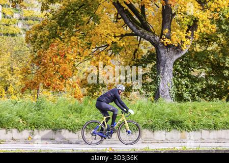 Herbst am Neckar in Stuttgart-Münster. Ein Baum mit bunten Blättern. Die Landschaft im Neckartal ist bei Radfahrern beliebt. Stuttgar Stockfoto