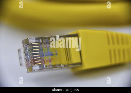 Den Helder, Niederlande. dezember 2024. Nahaufnahme eines gelben ethernet-Kabels auf weißem Hintergrund. Stockfoto