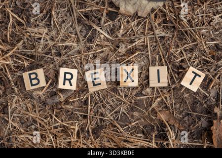 Das Bild ist von einem Stapel Holzbuchstaben, die das Wort Brexit beschreiben. Die Buchstaben sind so angeordnet, dass sie das Wort und den Haufen W buchstabieren Stockfoto