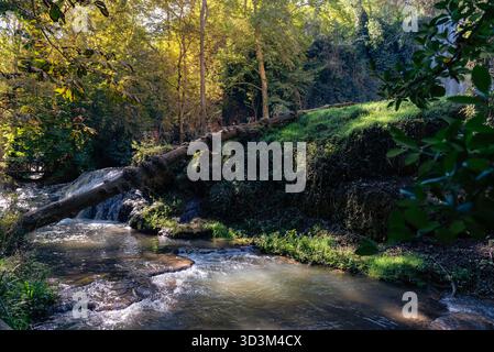 Erleben Sie den ruhigen Charme von Monasterio de Piedra mit einem kleinen Wasserfall, der sanft in den Fluss stürzt, flankiert von üppiger Vegetation und einem gefallenen tr Stockfoto