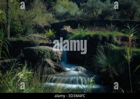 Langzeitaufnahme eines kleinen Wasserfalls, der über dunkle moosige Felsen stürzt, umgeben von üppiger grüner Vegetation und Bäumen unter weichem Tageslicht mit t Stockfoto