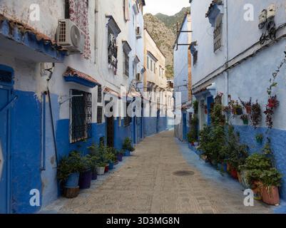 Ein fesselnder Blick auf die malerischen, engen Gassen von Chefchaouen, Marokko. Die ikonischen Gebäude sind in atemberaubenden Blau- und Weißtönen getaucht Stockfoto