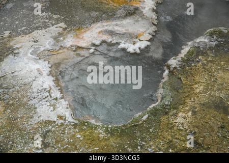 Orakei Korako Geothermal Park, Neuseeland. Nahaufnahme eines dampfenden Thermalpools mit lebhaften Mineralablagerungen und strukturierten Felsformationen. Stockfoto