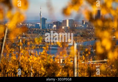 THEMENBILD - Illustration zu den Themen Wien/Tourismus/Herbst/Wetter/Donauturm/Donauplateau/Donau-Stadt. Im Bild: Blick auf das Donauplateau mit dem Donauturm in Wien, Österreich, am Mittwoch, 5. November 2025. Fotografiert vom Weinberg - 20251105 PD17054 Credit: APA-PictureDesk/Alamy Live News Stockfoto
