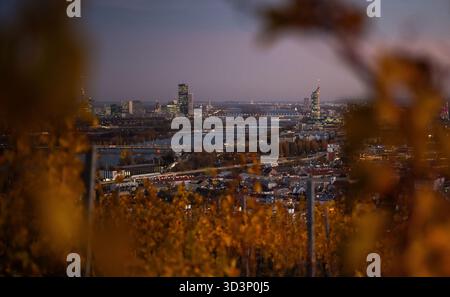 THEMENBILD - Illustration zu den Themen Wien/Tourismus/Herbst/Wetter/Donauturm/Donauplateau/Donau-Stadt. Im Bild: Blick auf das Donauplateau mit dem Donauturm in Wien, Österreich, am Mittwoch, 5. November 2025. Fotografiert vom Weinberg - 20251105 PD17050 Credit: APA-PictureDesk/Alamy Live News Stockfoto