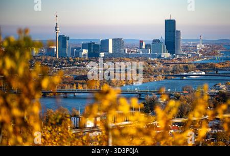 THEMENBILD - Illustration zu den Themen Wien/Tourismus/Herbst/Wetter/Donauturm/Donauplateau/Donau-Stadt. Im Bild: Blick auf das Donauplateau mit dem Donauturm in Wien, Österreich, am Mittwoch, 5. November 2025. Fotografiert vom Weinberg - 20251105 PD17053 Credit: APA-PictureDesk/Alamy Live News Stockfoto