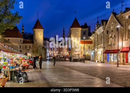 Das mittelalterliche Viru-Tor am Eingang der Altstadt von Tallinn in Estland, Wahrzeichen der Stadtbefestigung aus dem 14. Jahrhundert. Stockfoto