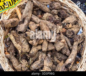 Istanbul, Türkiye - 7. November 2025: Nahaufnahme von getrockneten Salepwurzeln (Orchideenknollen), die für traditionelle türkische Getränke und Desserts verwendet werden. Stockfoto